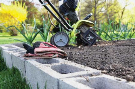Starting a Vegetable Garden from Scratch Image